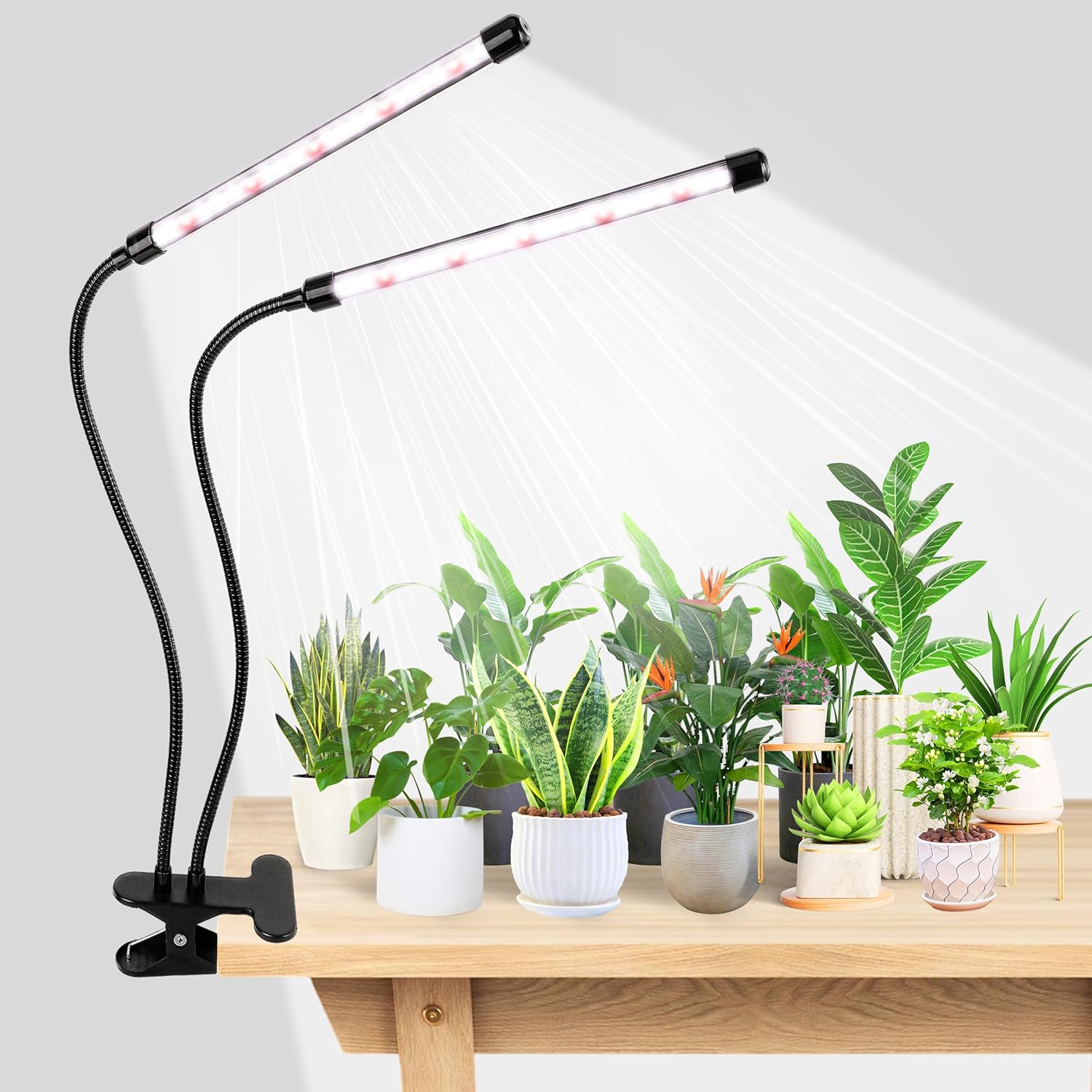 Food Storage Plants - KEBINCPLED USB 5V クリップ式植物育成ライト LED鉢植え植物成長ランプ 白赤