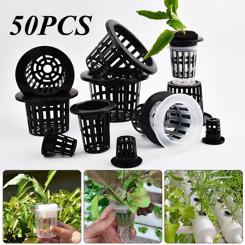 Food Storage Plants - 50個入り黒白土を使わないメッシュ植物育成ポット、ネットバスケットホルダー、野菜育苗カップトレイ、スポンジ水耕栽培ポット