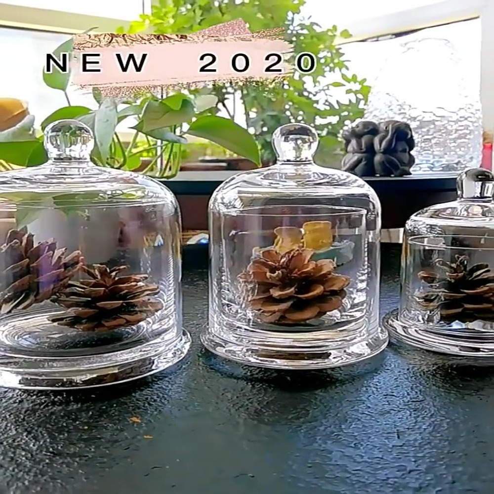 Food Storage Plants - ガラス製保存瓶 エターナルライフフラワー 8色 アロマセラピーキャンドル ガラスカバー 食品・植物ディスプレイ