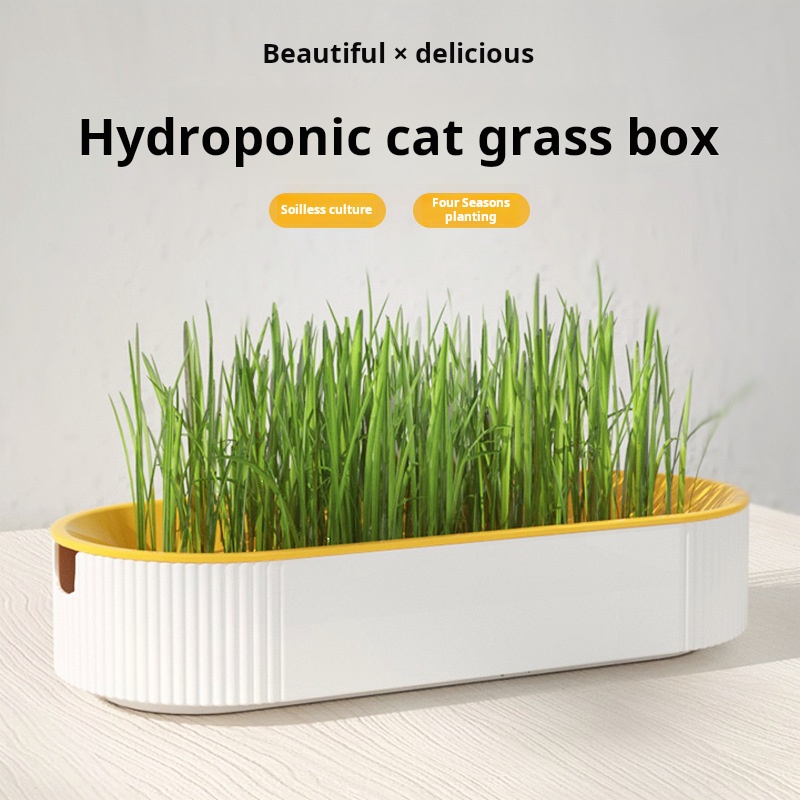簡単栽培水耕栽培キャットグラスボックスディッシュ栽培ポット猫 - Food Storage Plants のレビューと価格