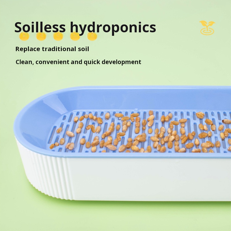 簡単栽培水耕栽培キャットグラスボックスディッシュ栽培ポット猫 - Food Storage Plants のレビューと価格