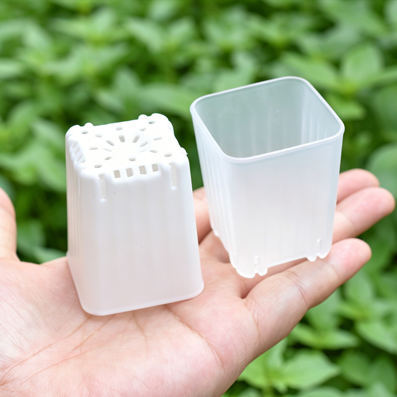 50-100 個 4 センチメートルミニ厚みのある白/透明な - Food Storage Plants のレビューと価格