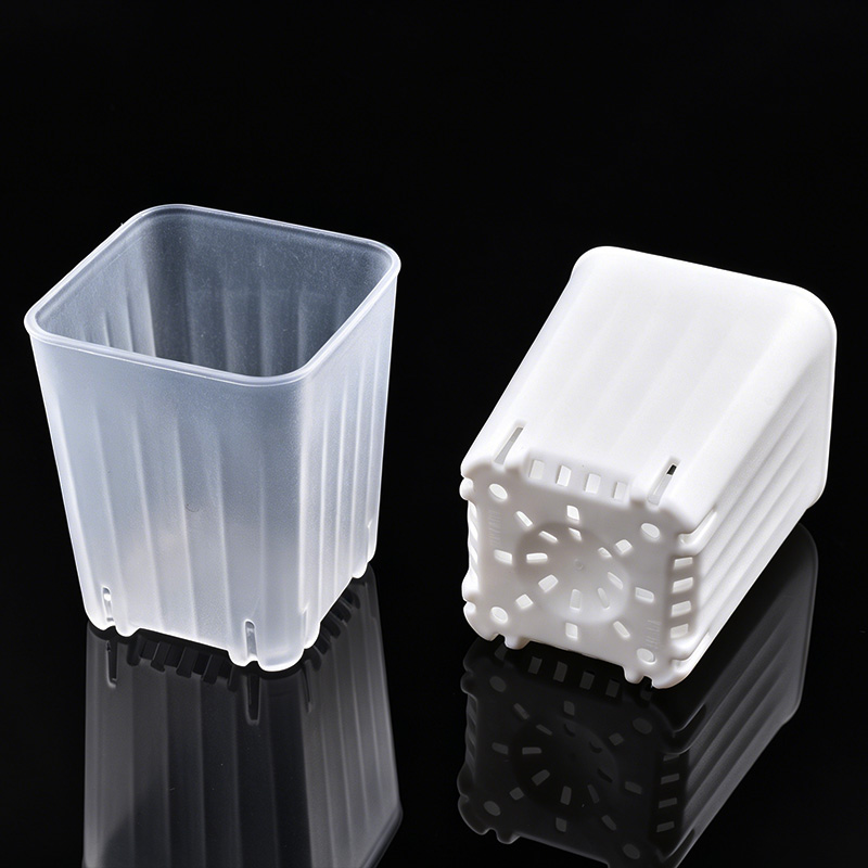 50-100 個 4 センチメートルミニ厚みのある白/透明な - Food Storage Plants のレビューと価格