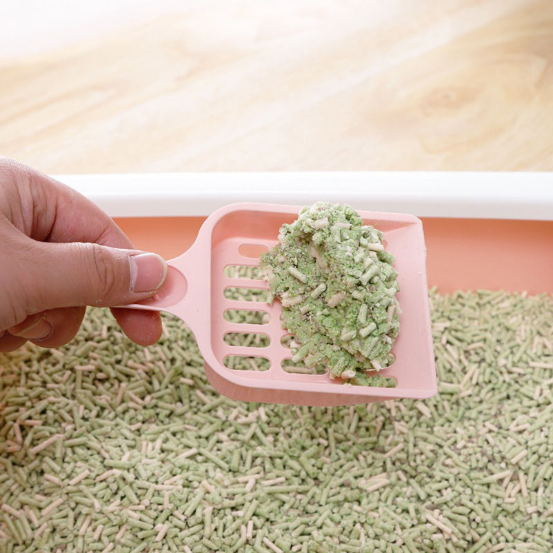 新型高価値猫砂ふるい器 横持ちグリップ設計 耐久性のある猫砂 - Food Storage With Scoop のレビューと価格